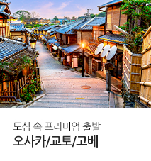 [홈쇼핑]일본_NS홈쇼핑(오사카,교토,고베)