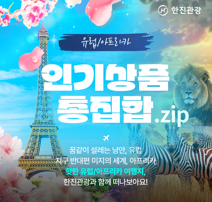 [기획전] 유럽&아프리카 인기상품 총집합