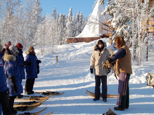 Snowshoe