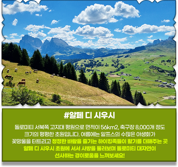 알페 디 시우시